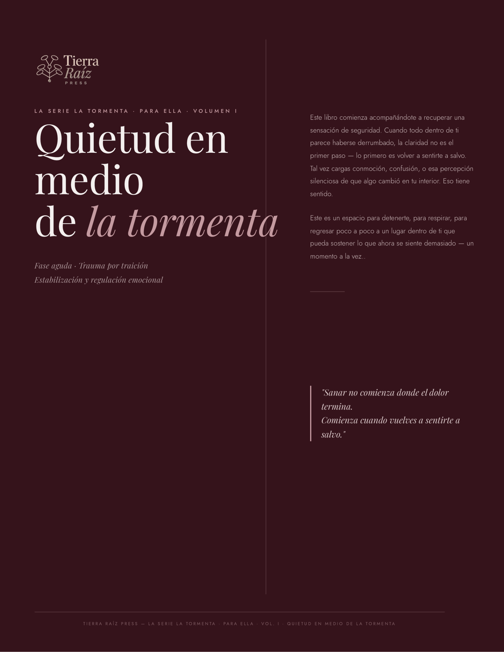 la tormenta vol i quietud en medio de la tormenta
