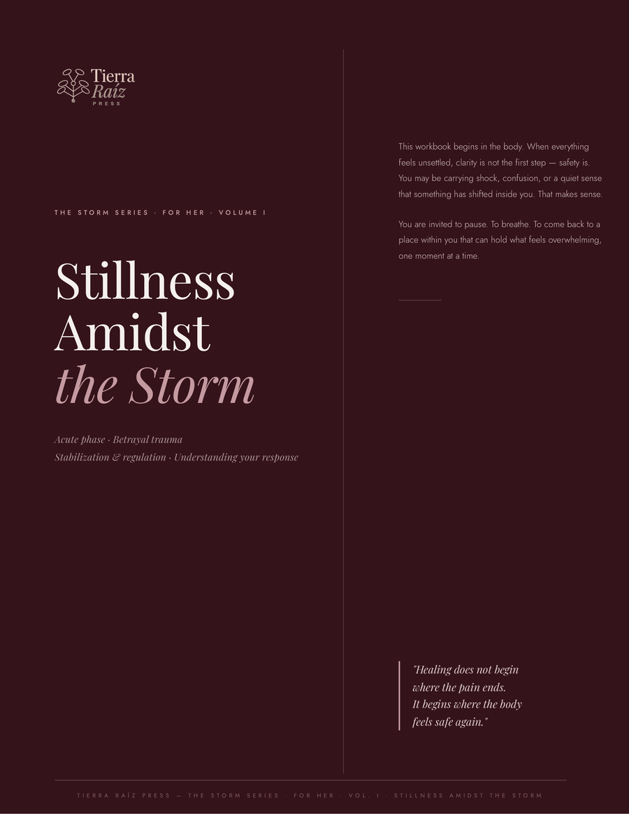 the storm vol i stillness amidst the storm