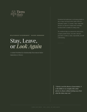 stay leave or look again relationship discernment workbook cover